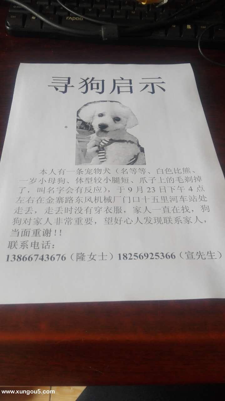 合肥千元寻狗