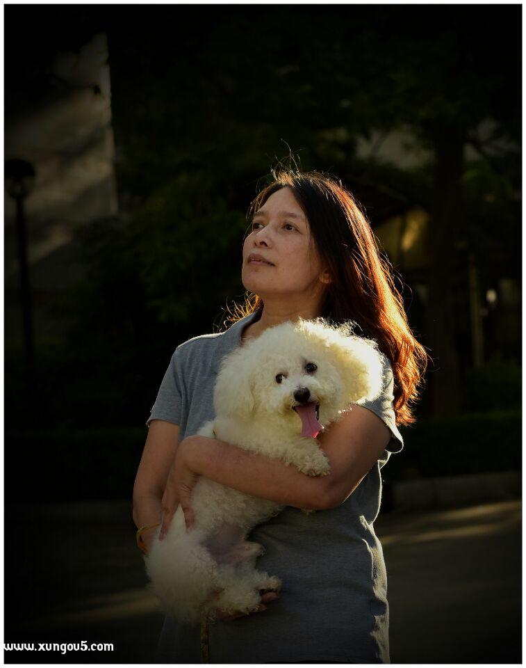 寻爱犬Rock 失踪寻找启事