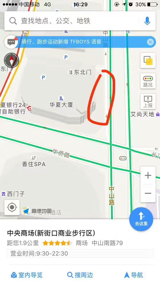 南京泰迪茨木走失启事