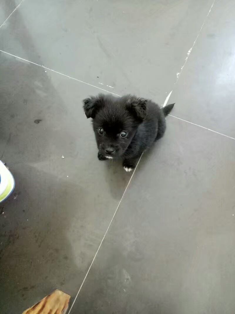 贵阳寻找可乐！