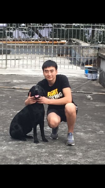 深圳罗湖黄贝岭失踪拉布拉多犬2000元寻找