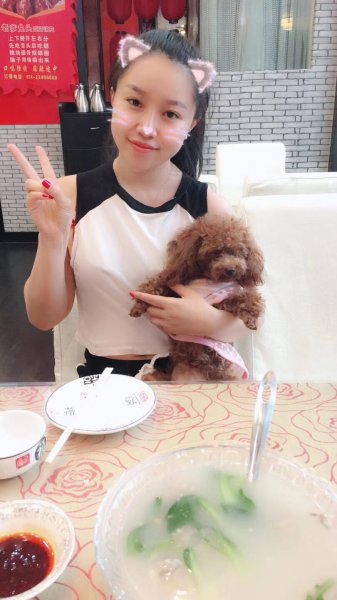 寻找我的泰迪犬Lucky