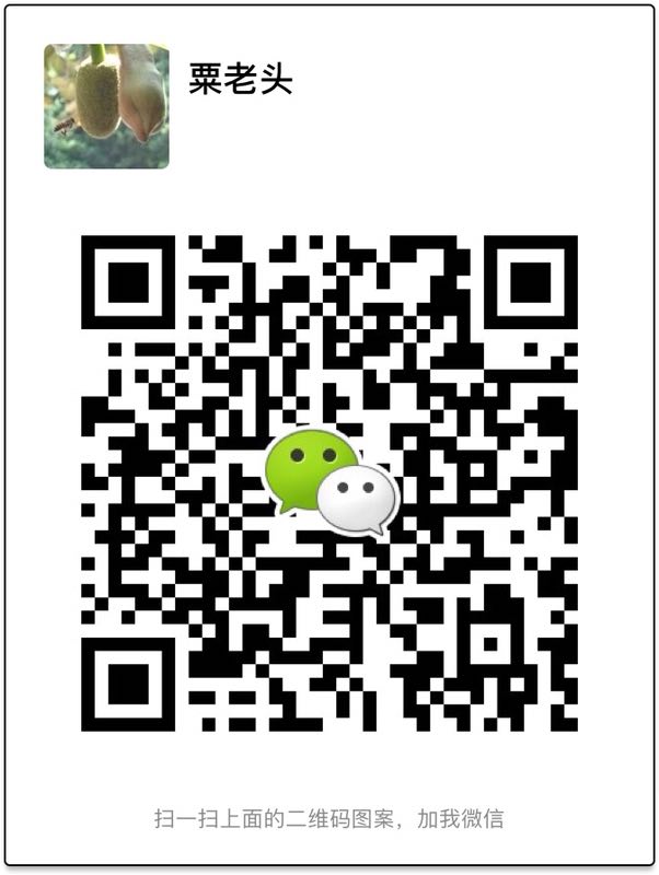 深圳寻狗｜金黄色小狗波比失踪