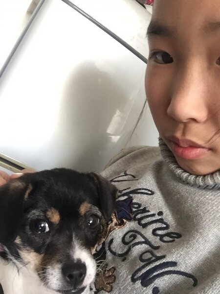 常州寻狗启事：串串小花在文化站邮局后的广场走丢了，谢谢帮忙转发