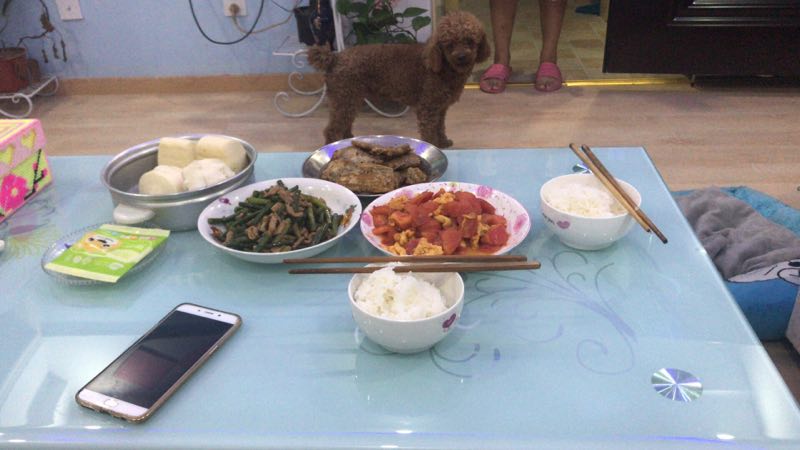 失踪的咖啡：寻狗启事