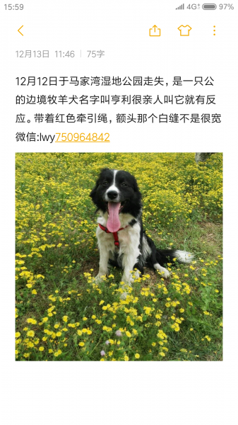 北京马家湾湿地公园寻边牧
