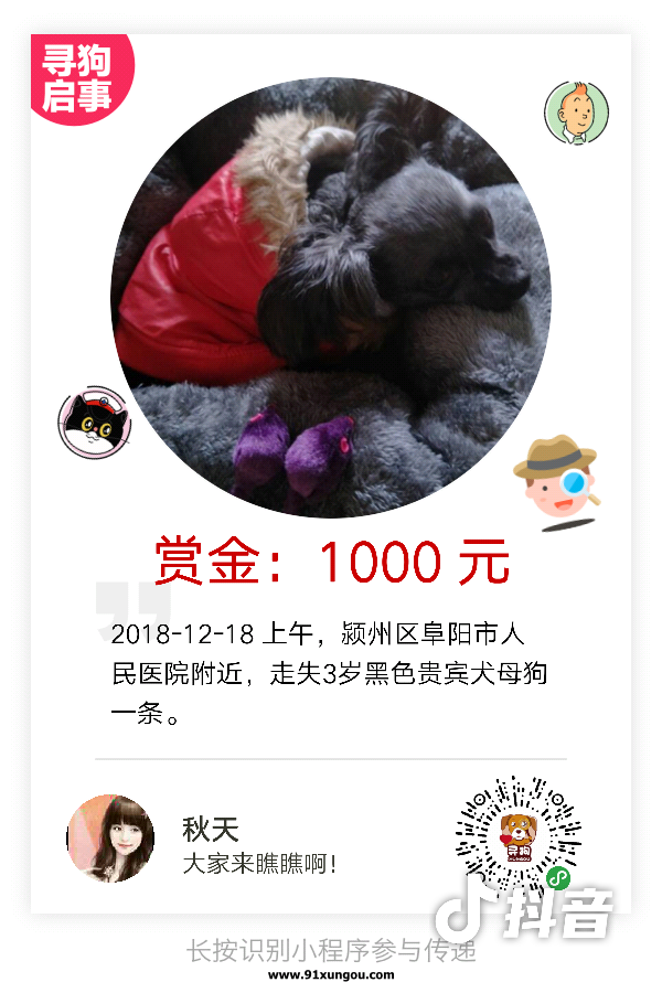 酬谢1000元，寻狗小黑，贵宾犬，在阜阳市颍州区走失