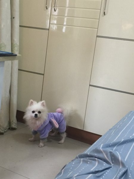寻找果汁
