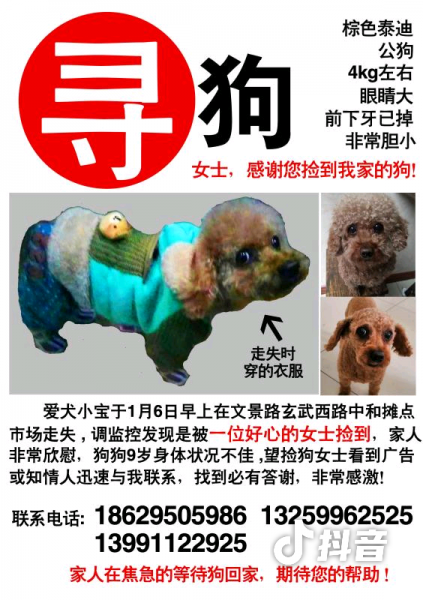 西安|1月6日11点|文景路菜市场|9岁小泰迪被捡走