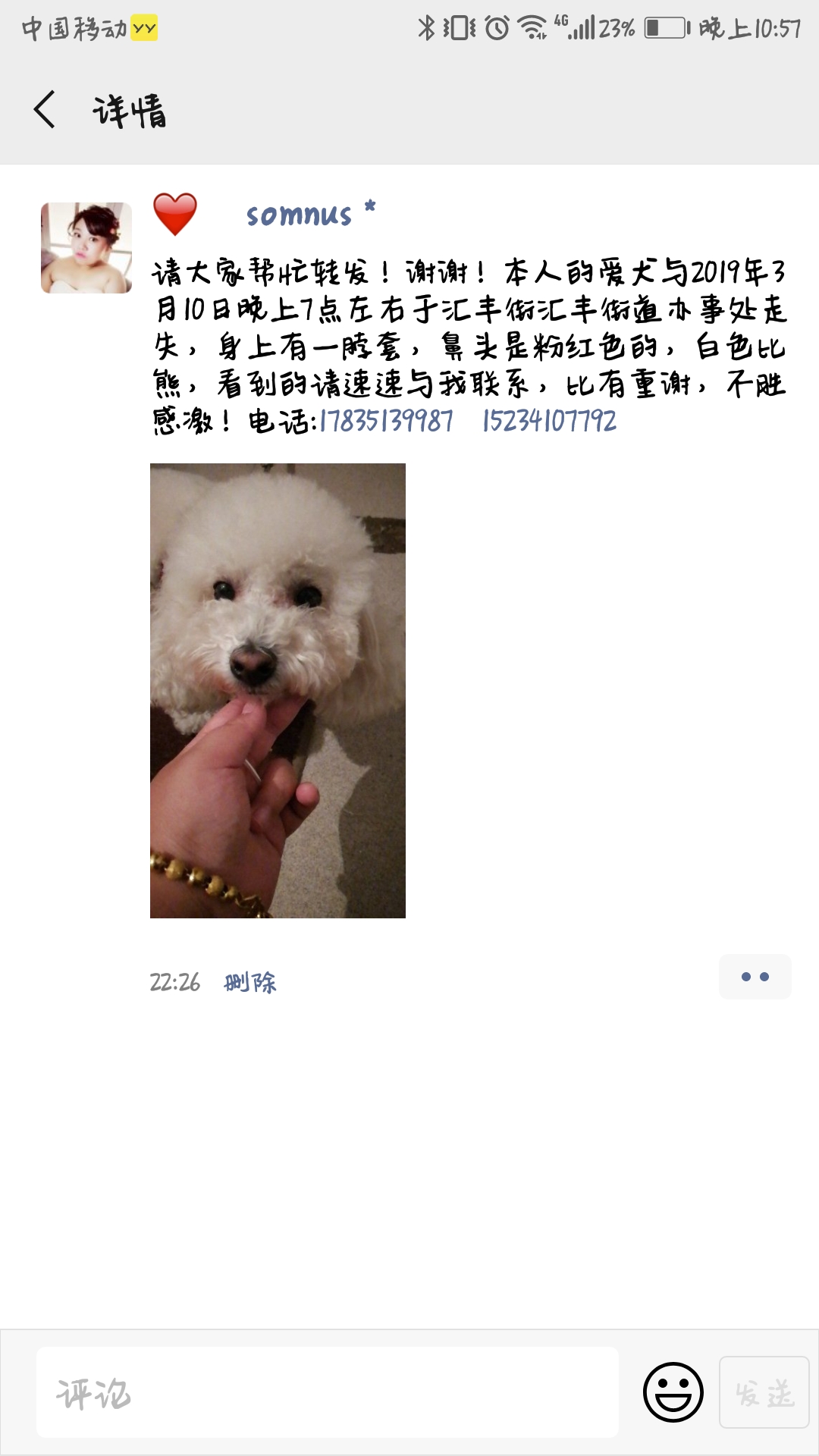 山西太原汇丰区寻比熊小白