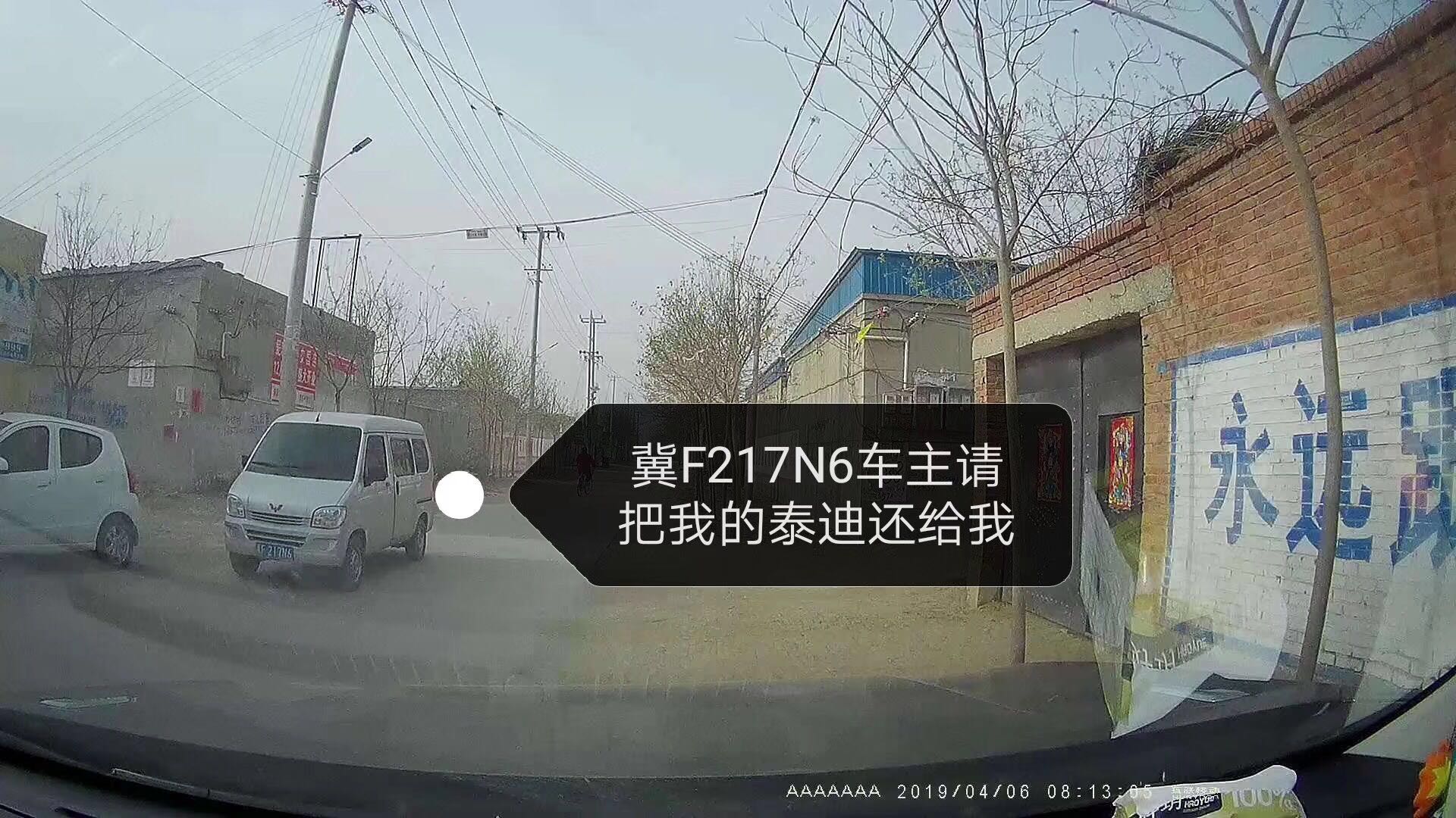 泰迪犬可乐走失！
