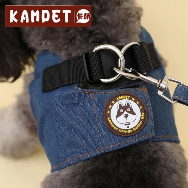 太原寻狗启事：小白犬走失，请您帮忙寻找