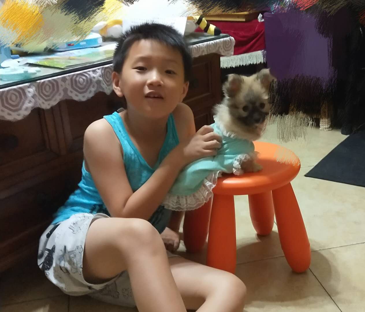 我不想让孤单成为我的朋友：寻狗启事