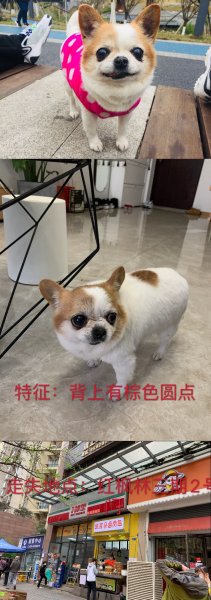 寻找闷墩