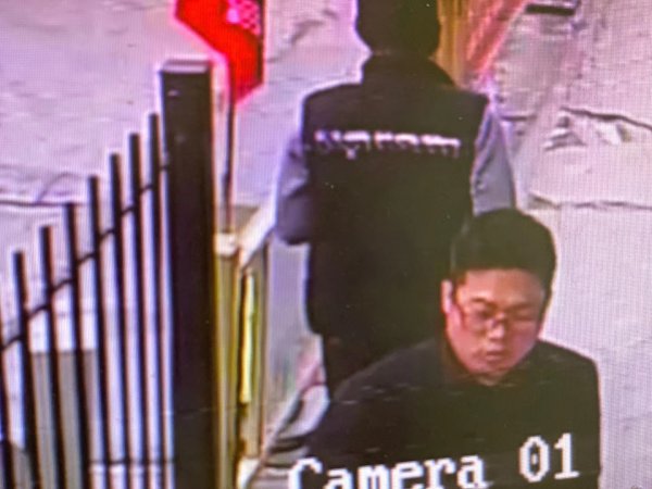 西安寻找失踪的果汁儿拉布拉多犬