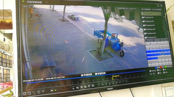 沈阳新民区寻狗启事：小花走失，急需帮助