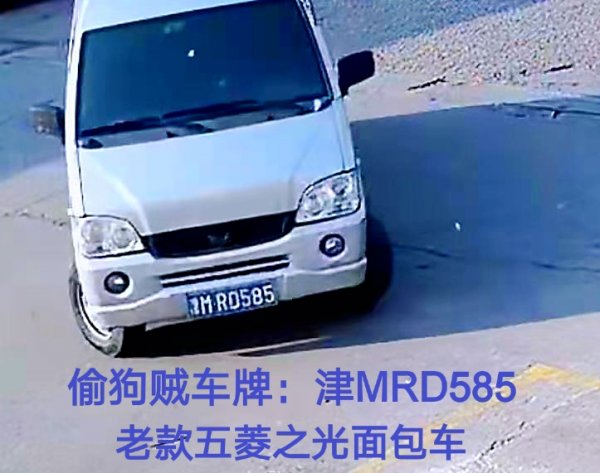 南京寻狼犬主人
