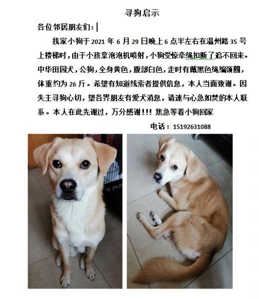 寻狗启示：请好心人帮小狗回家