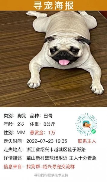 鞍山寻找巴哥小白启事