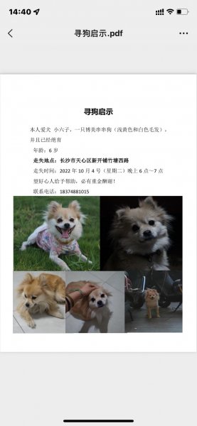 北京丰台区方庄南路18号院寻狗狗豆豆
